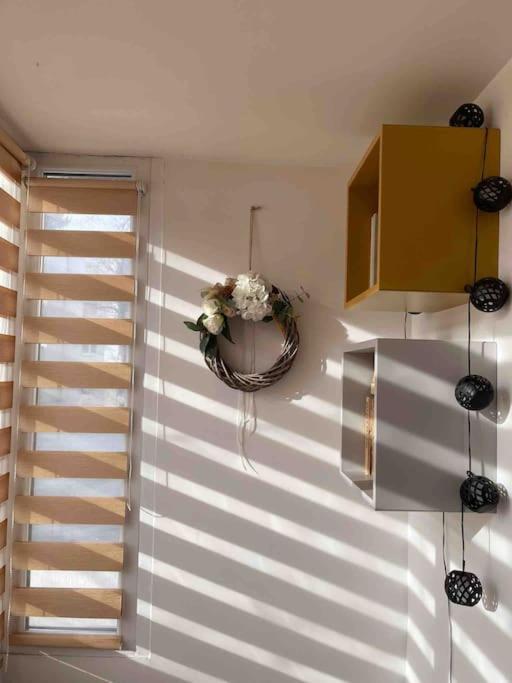 Raul'S Apartament - 3 Rooms Târgu-Mureş المظهر الخارجي الصورة